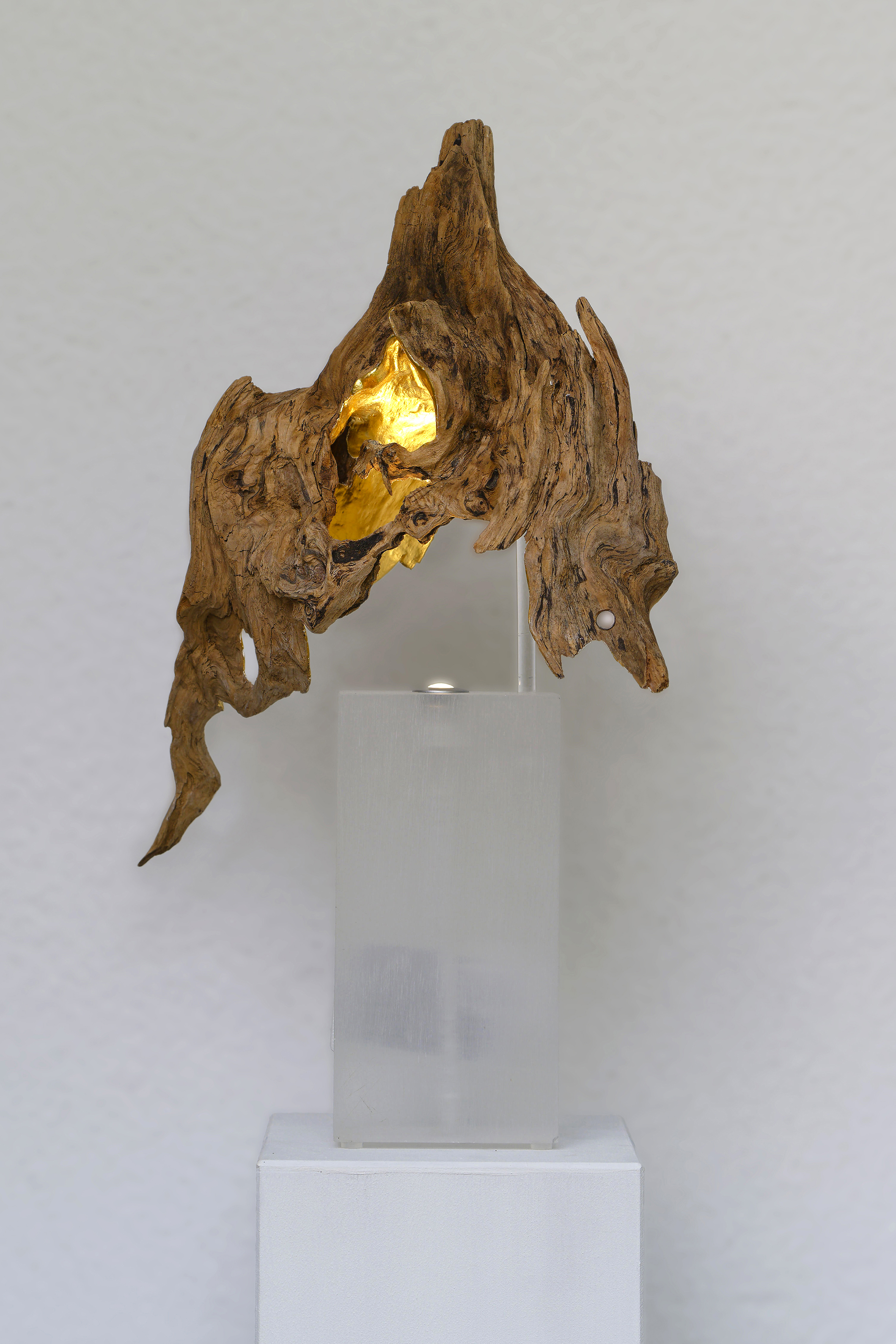 Aus vermeintlich Wertlosem wird plötzlich etwas Einzigartiges und Besonderes. Fundholz wird an einzelnen Partien, die den Habitus des Holzes betonen, mit 23 Karat Blattgold vergoldet. Der Aufbau, bis das Gold aufgeschossen werden kann, erfolgt in ca. 12 Schichten.
