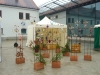 KeKuKa2012